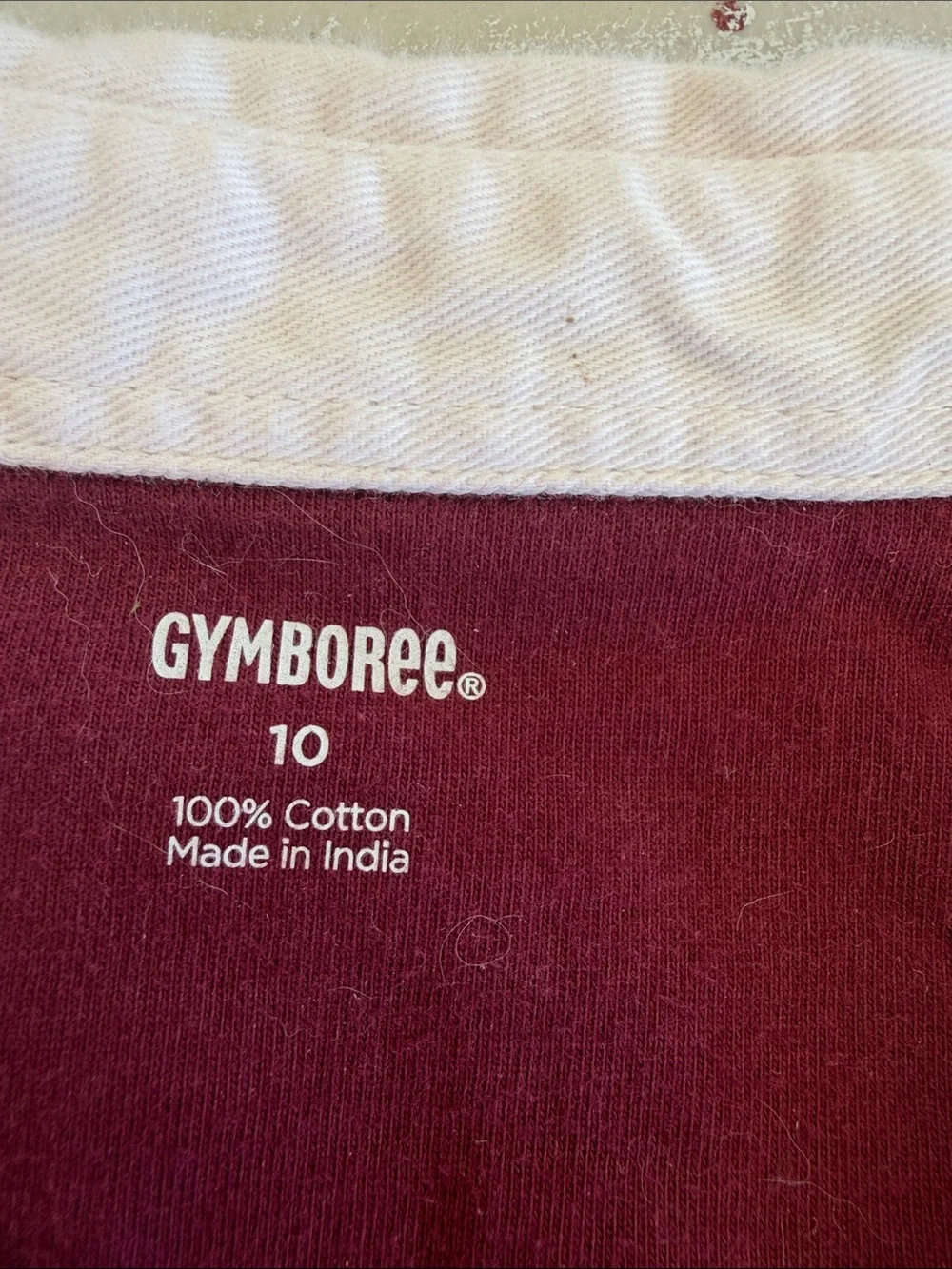 Gymboree Burgundy Striped Rugby Shirt with White Collar